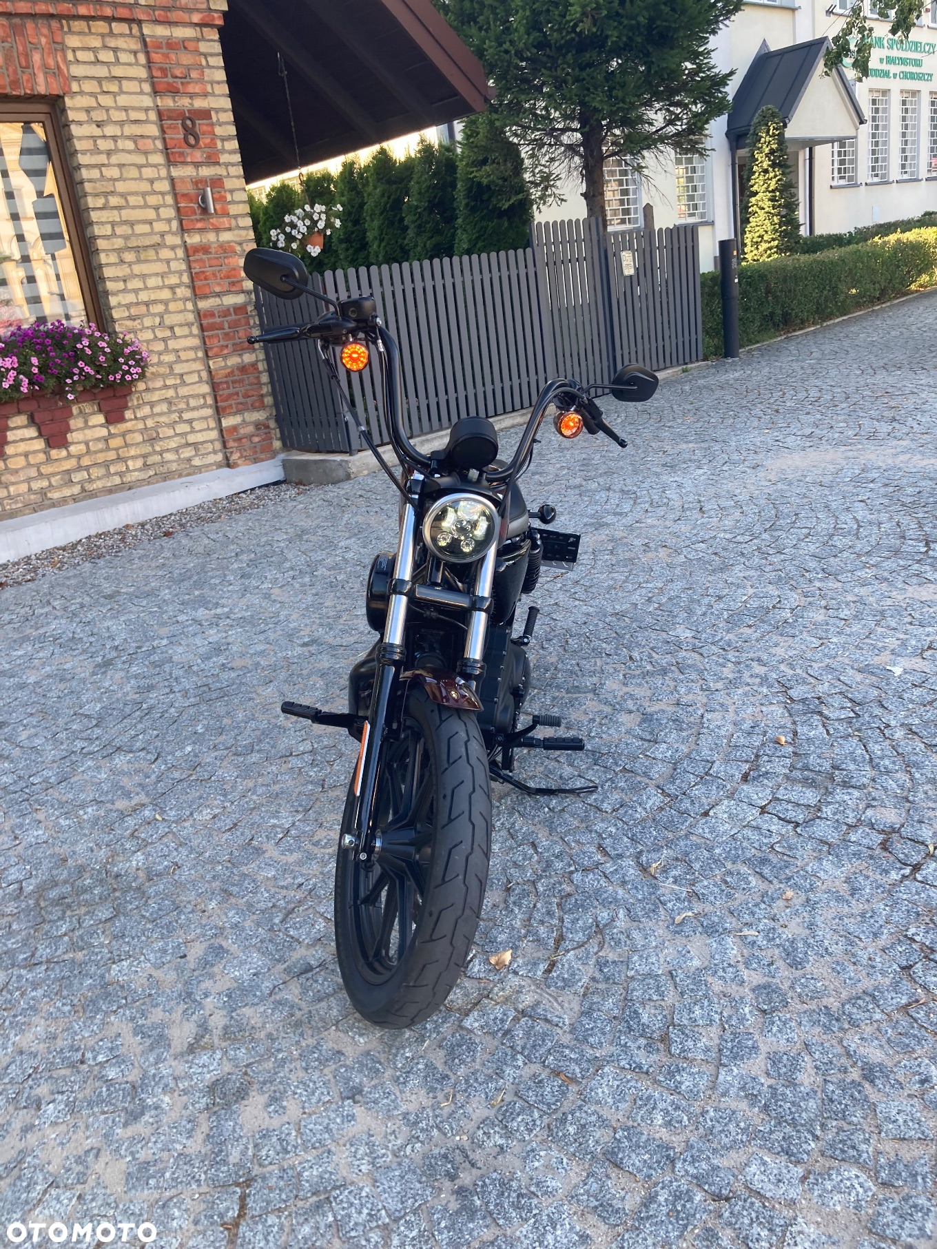 Harley-Davidson Sportster Iron 1200 - 19