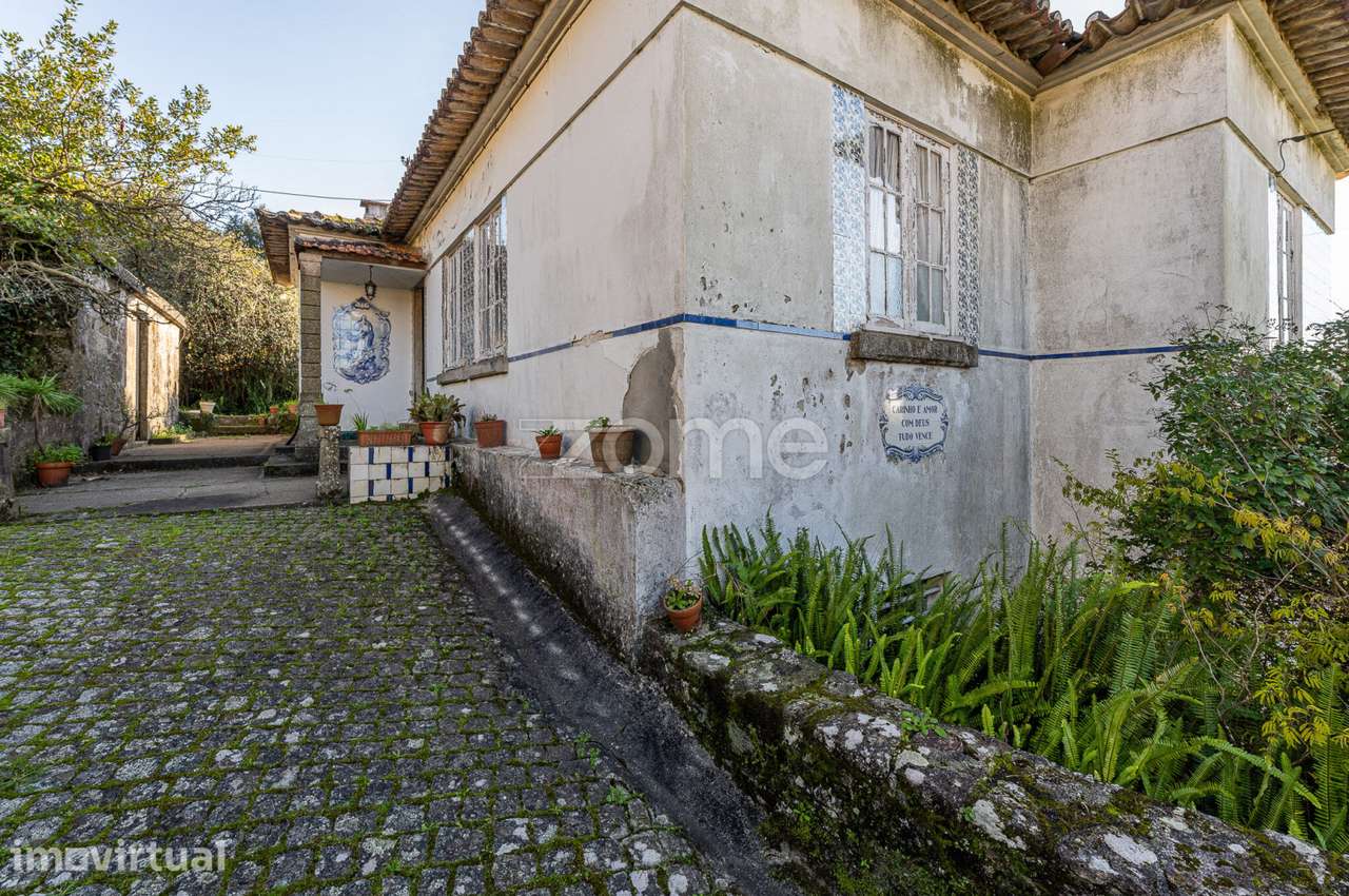 Quinta, com Moradia habitável e Terreno de 8744m² em Fânzeres-Gondo... - Grande imagem: 5/60