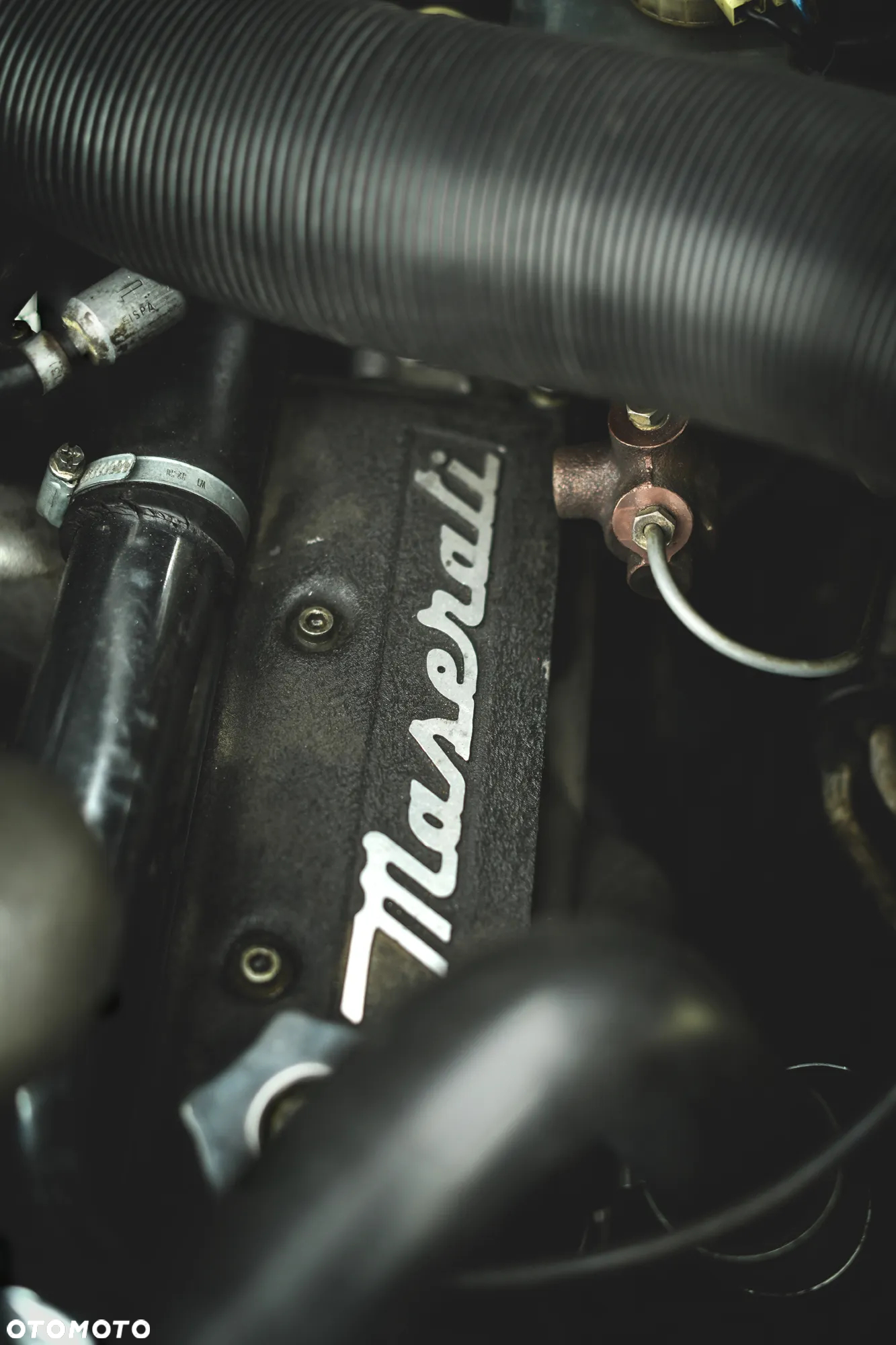 Maserati Biturbo - 31