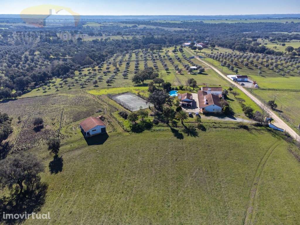 Quinta com Monte Alentejano | Montemor-o-Novo, Alentejo, Portugal - Grande imagem: 4/60