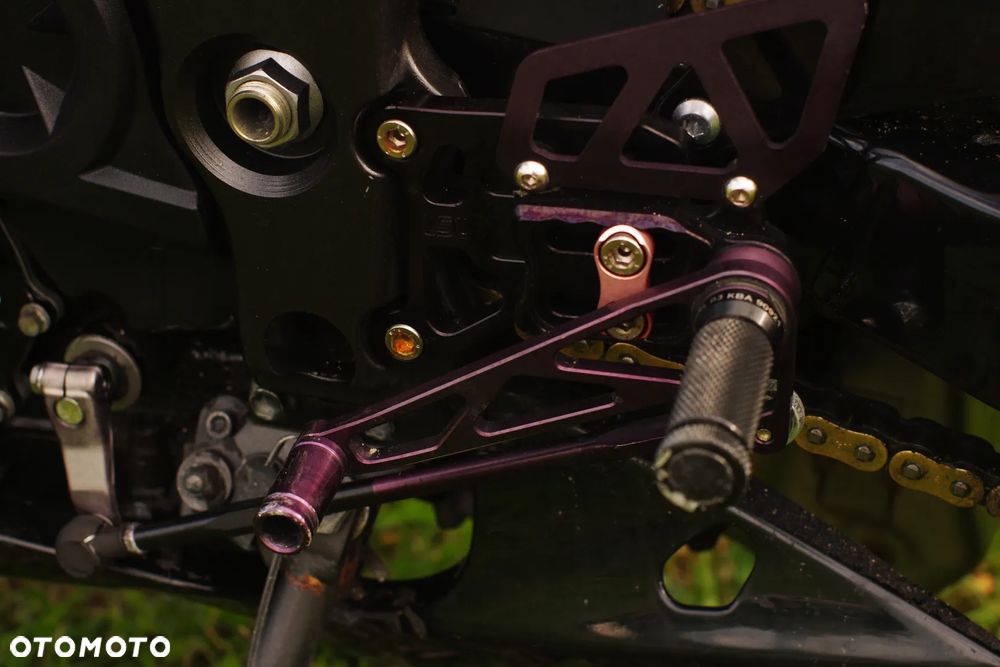 Kawasaki ZX - 31