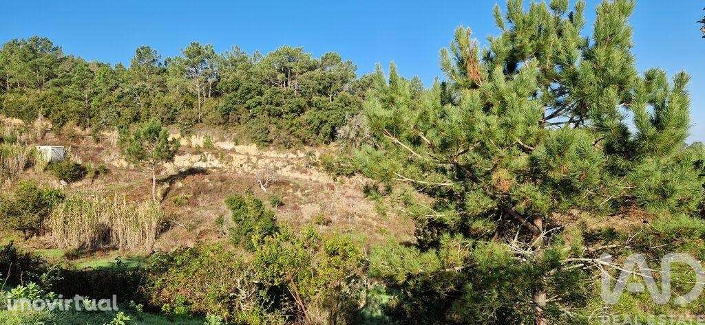 Terreno em Mafra de 5857,00 m2 - Grande imagem: 5/26