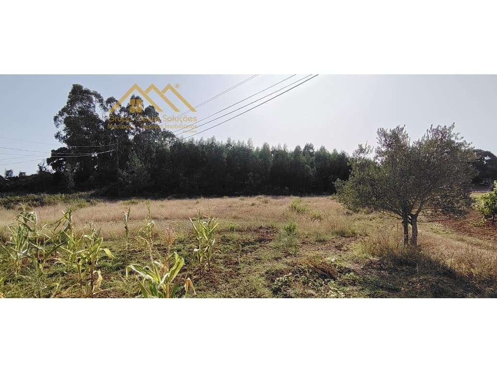 Terreno Rustico, Maxial e Monte Redondo - Grande imagem: 4/13