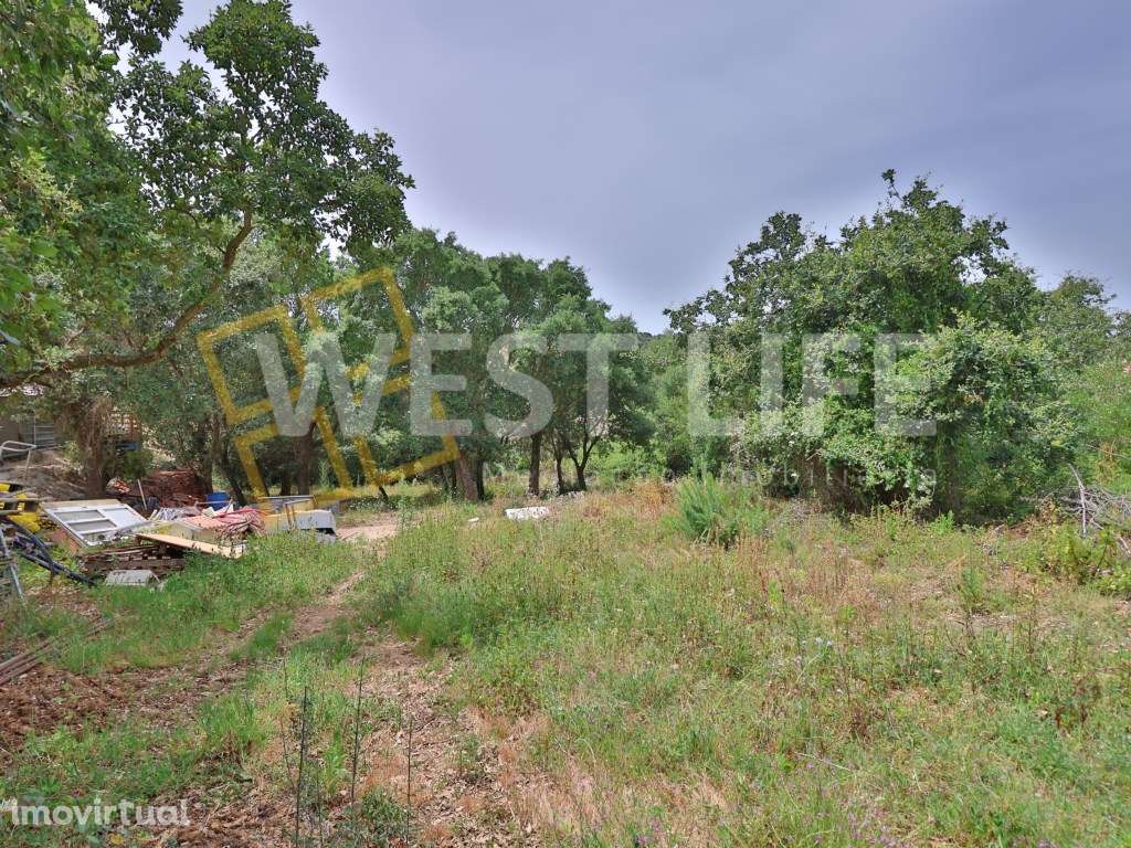 Terreno Rústico/Agroflorestal com 1120m2 - Excelente exposição sola... - Grande imagem: 4/12