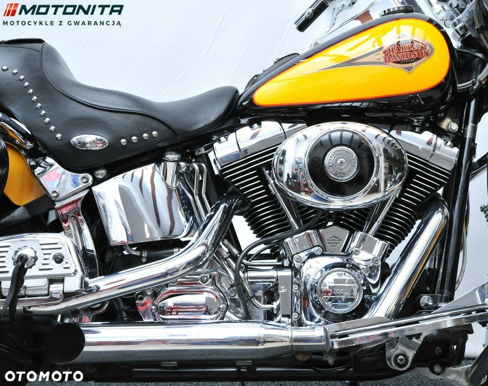 Harley-Davidson Softail Heritage Classic - 10