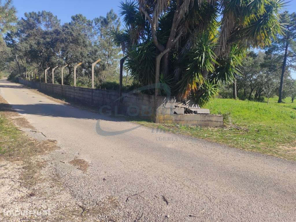 Refúgio natural com 6.985 m², eletricidade, poço e múltiplas possib... - Grande imagem: 4/14