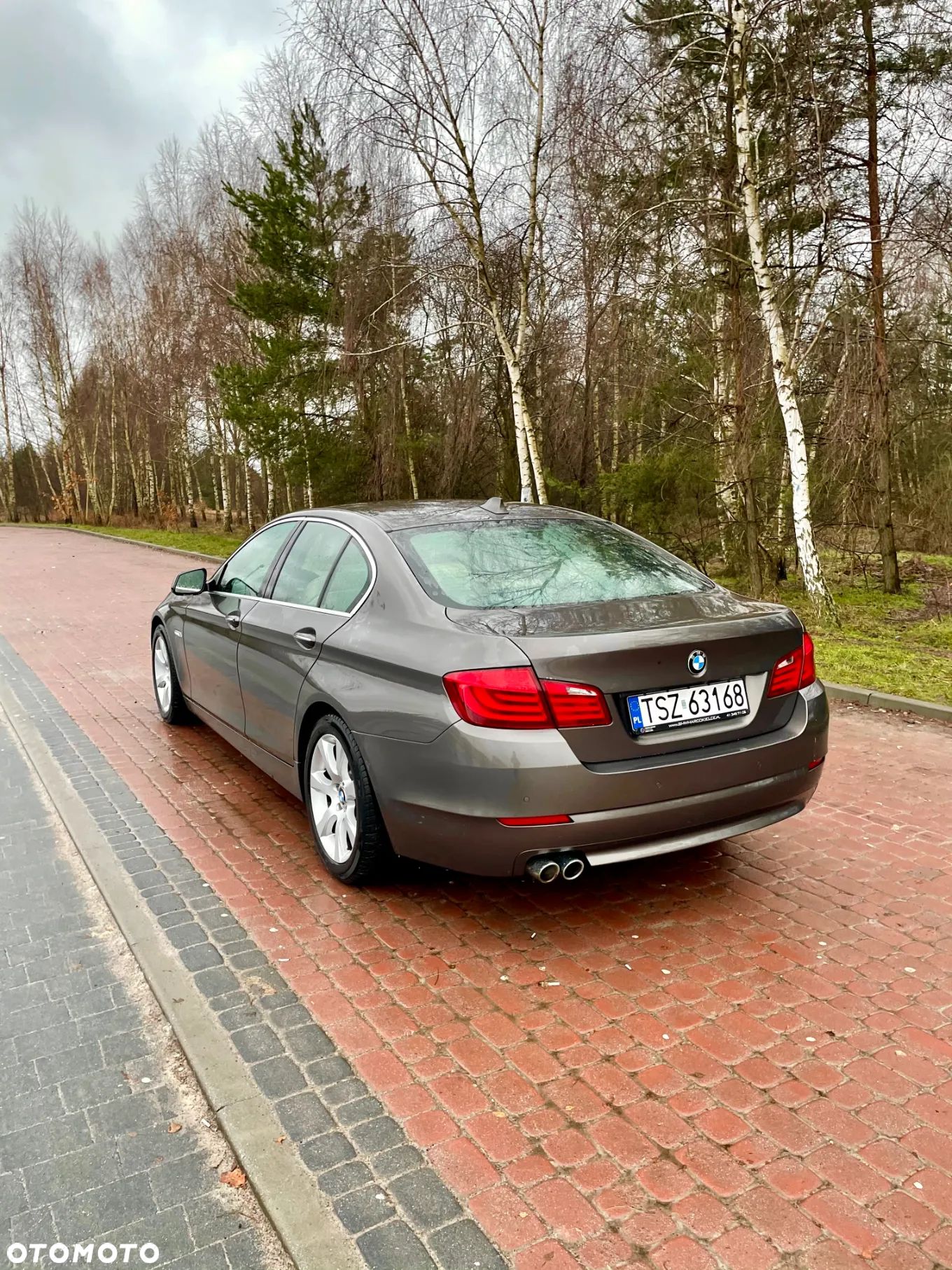 BMW Seria 5 - 1