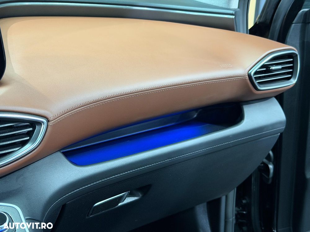 Hyundai Santa Fe - 29