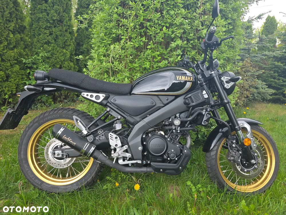Yamaha XSR - 2