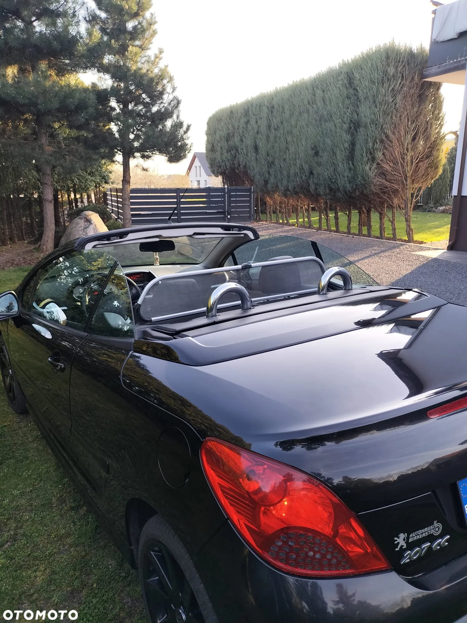 Peugeot 207 CC FAP 110 (Blue Lion) Roland Garros - 9