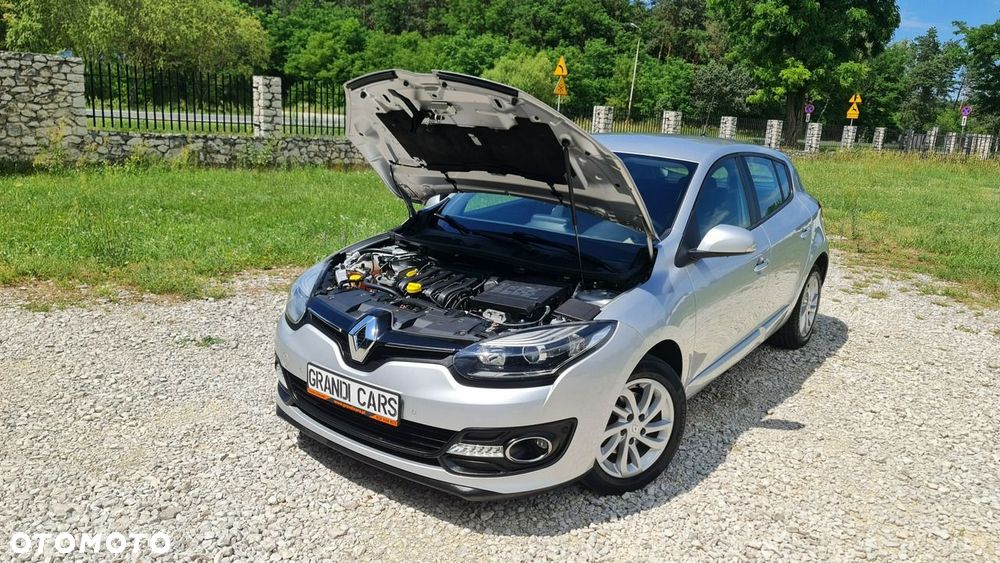 Renault Megane - 31