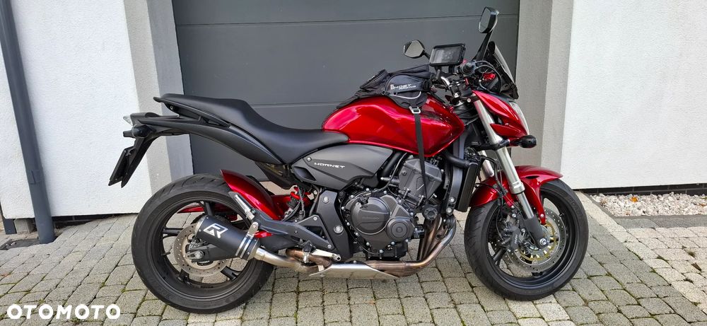 Honda Hornet