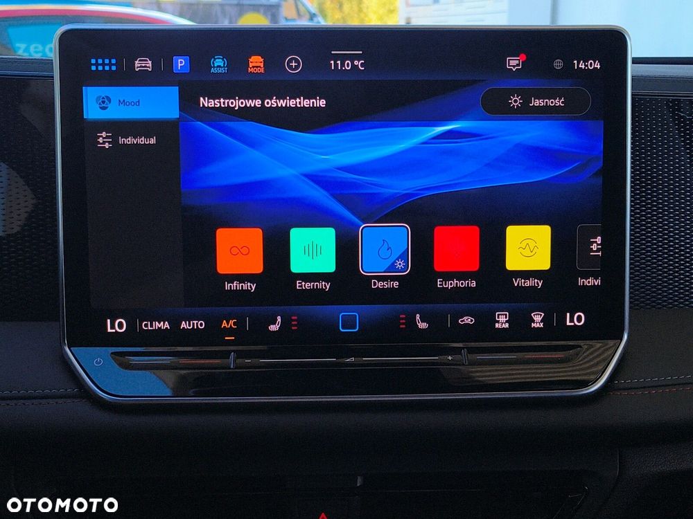 Volkswagen Tiguan - 21