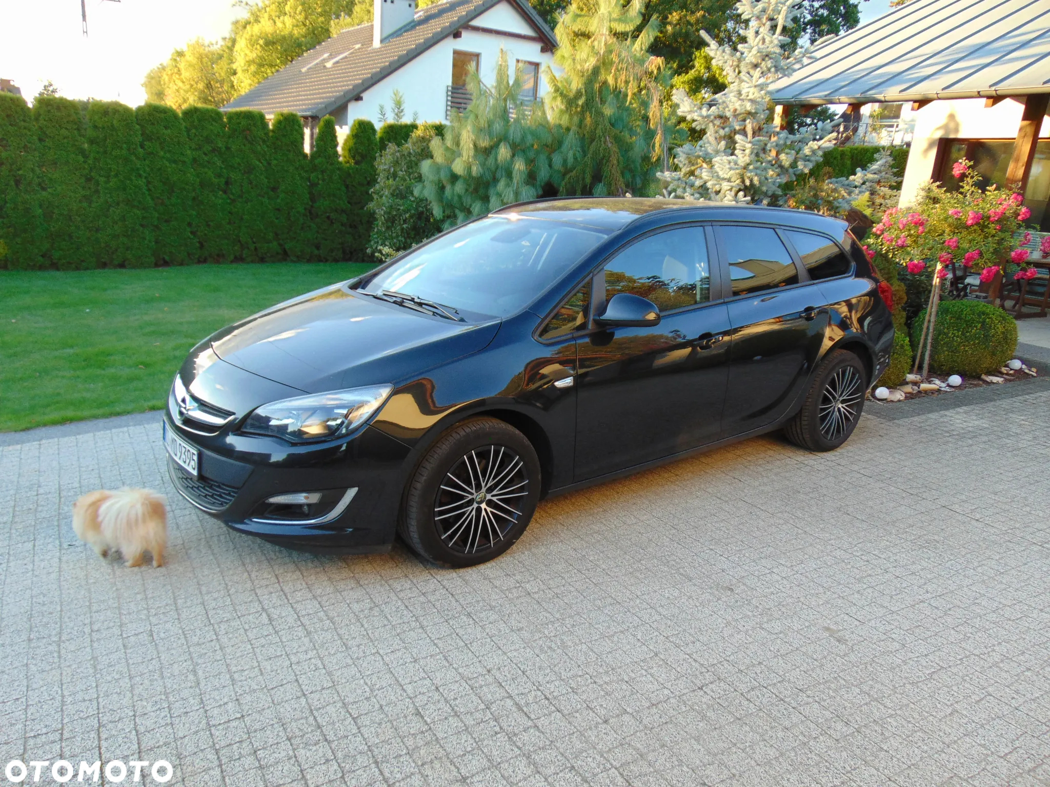 Opel Astra 2.0 CDTI ENERGY - 10