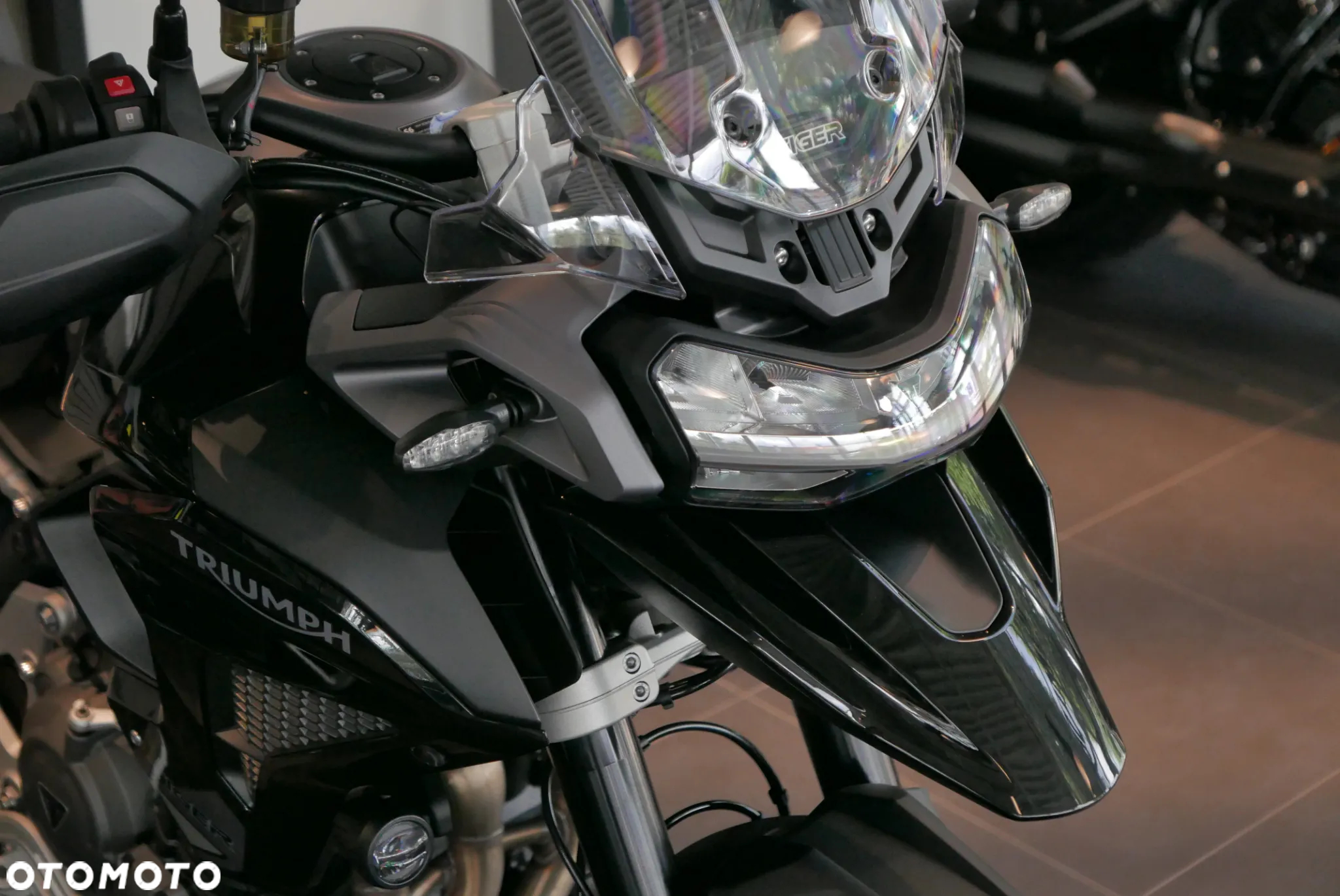 Triumph Tiger - 6