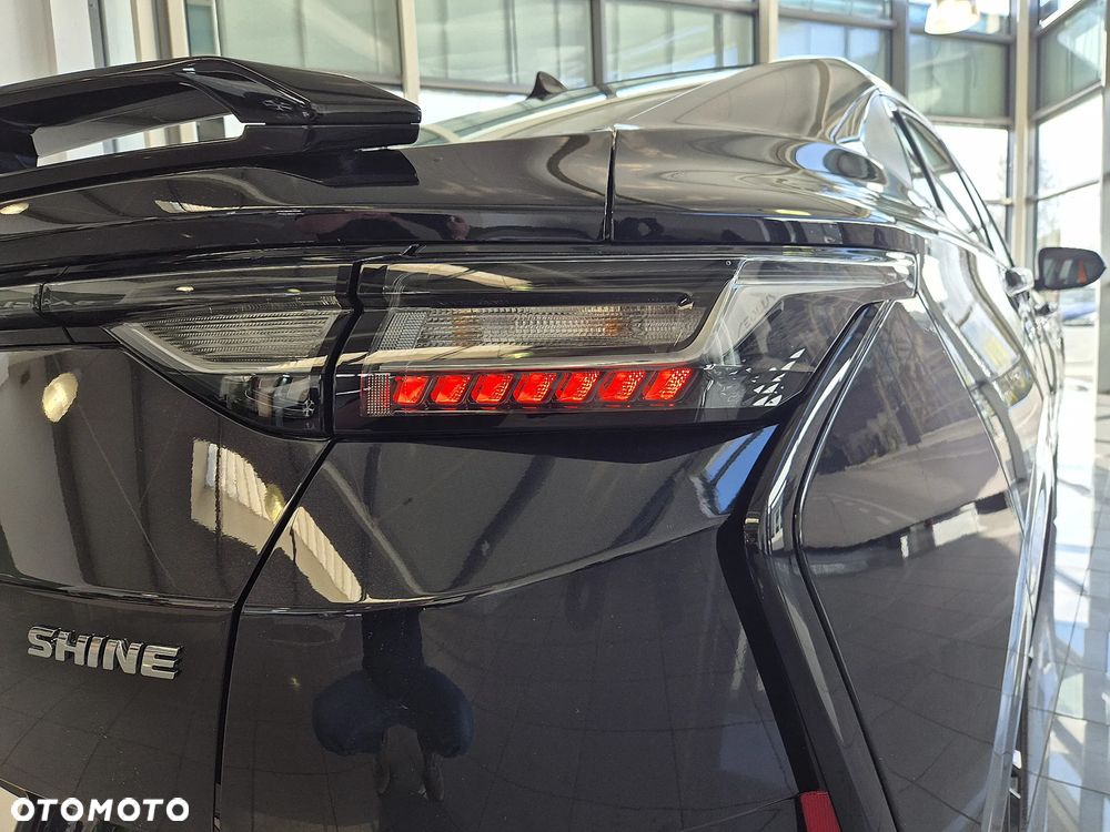Dongfeng Shine - 10