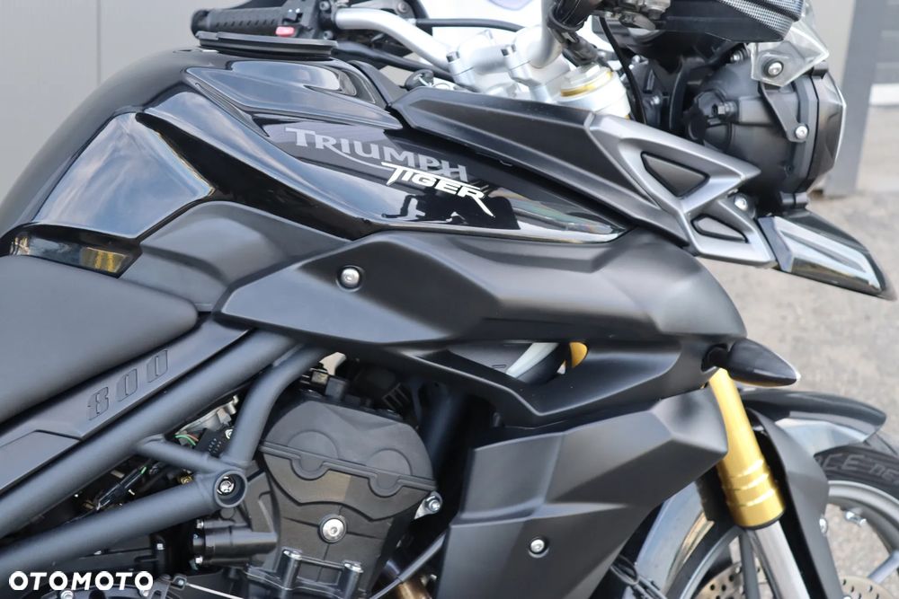 Triumph Tiger - 14