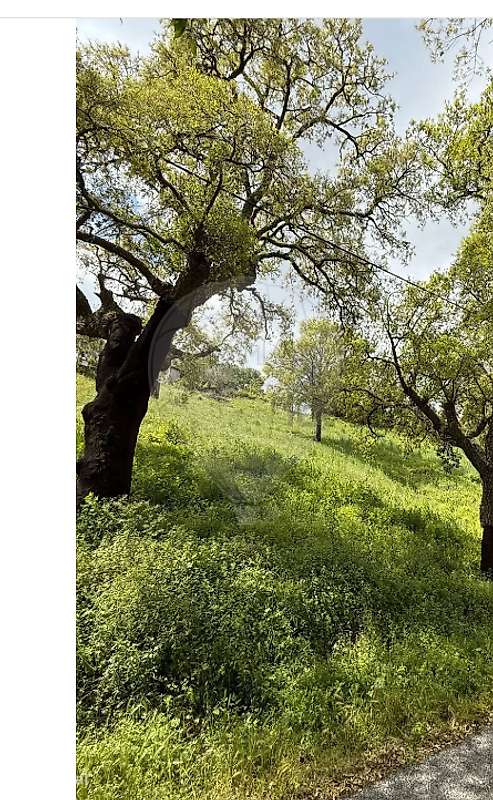 Terreno  para venda – pohled 5