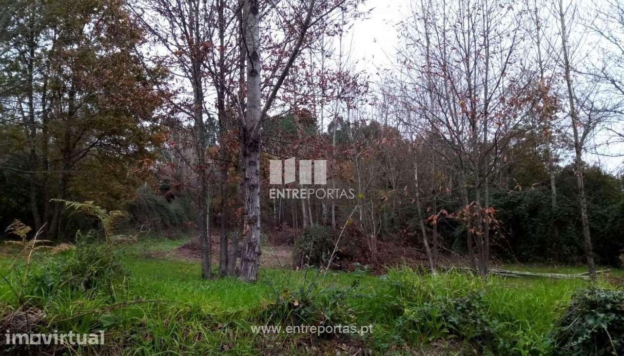 Venda Terreno c/ possibilidade de construção e área de 34000 m2, Lo - Grande imagem: 3/28