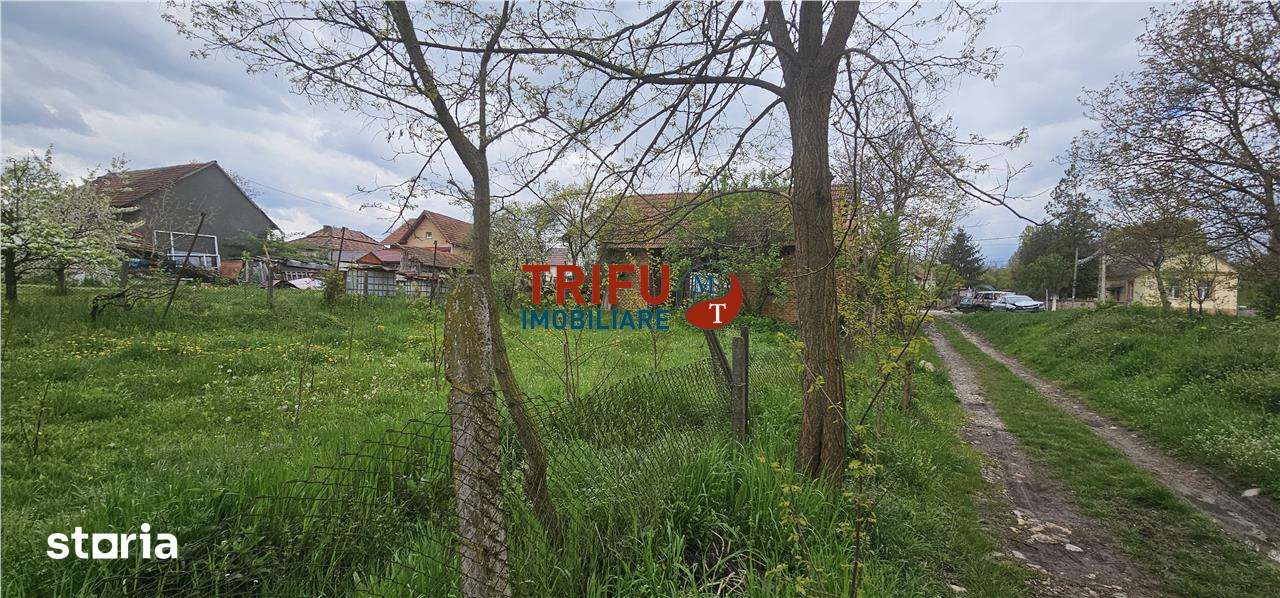 Casă veche + teren 3100 mp | Galda de Jos | Acces râu - Imagine principală: 4/9
