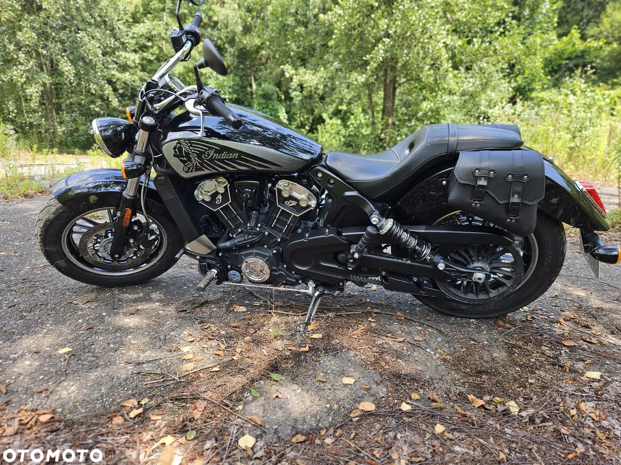 Indian Scout - 10