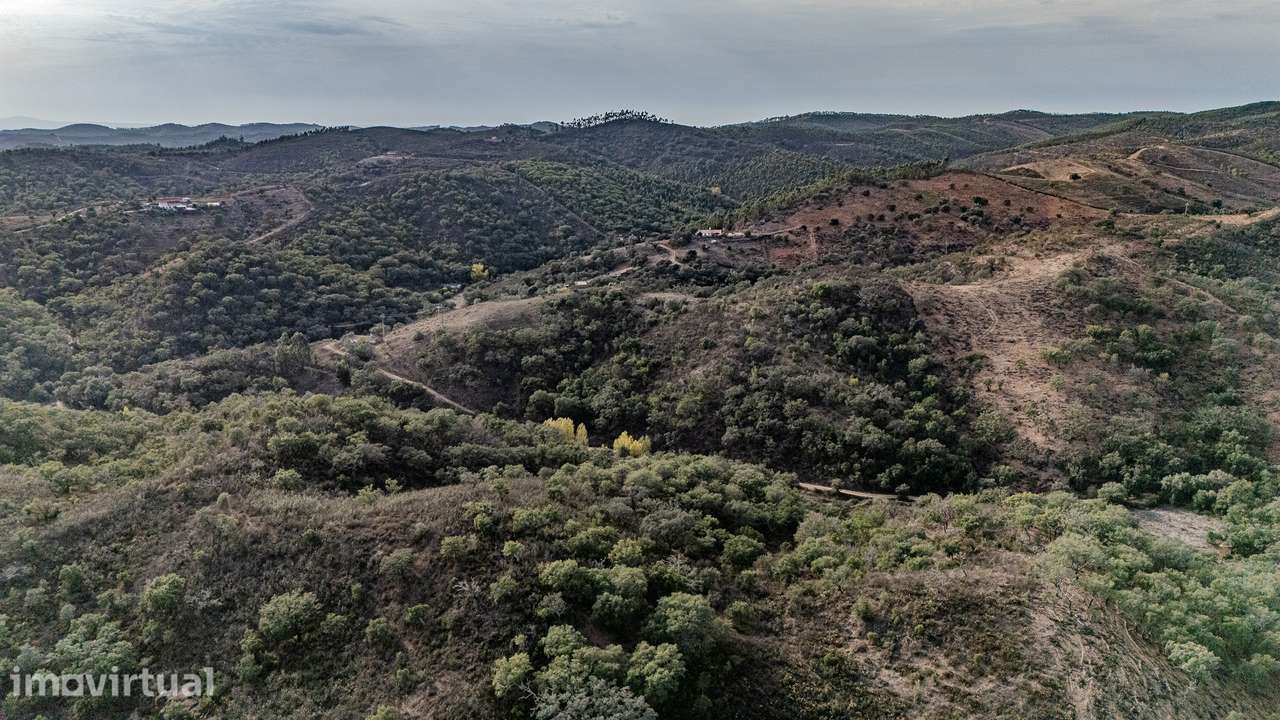 QUINTA | PARA VENDA | ALENTEJO | ODEMIRA - Grande imagem: 3/35