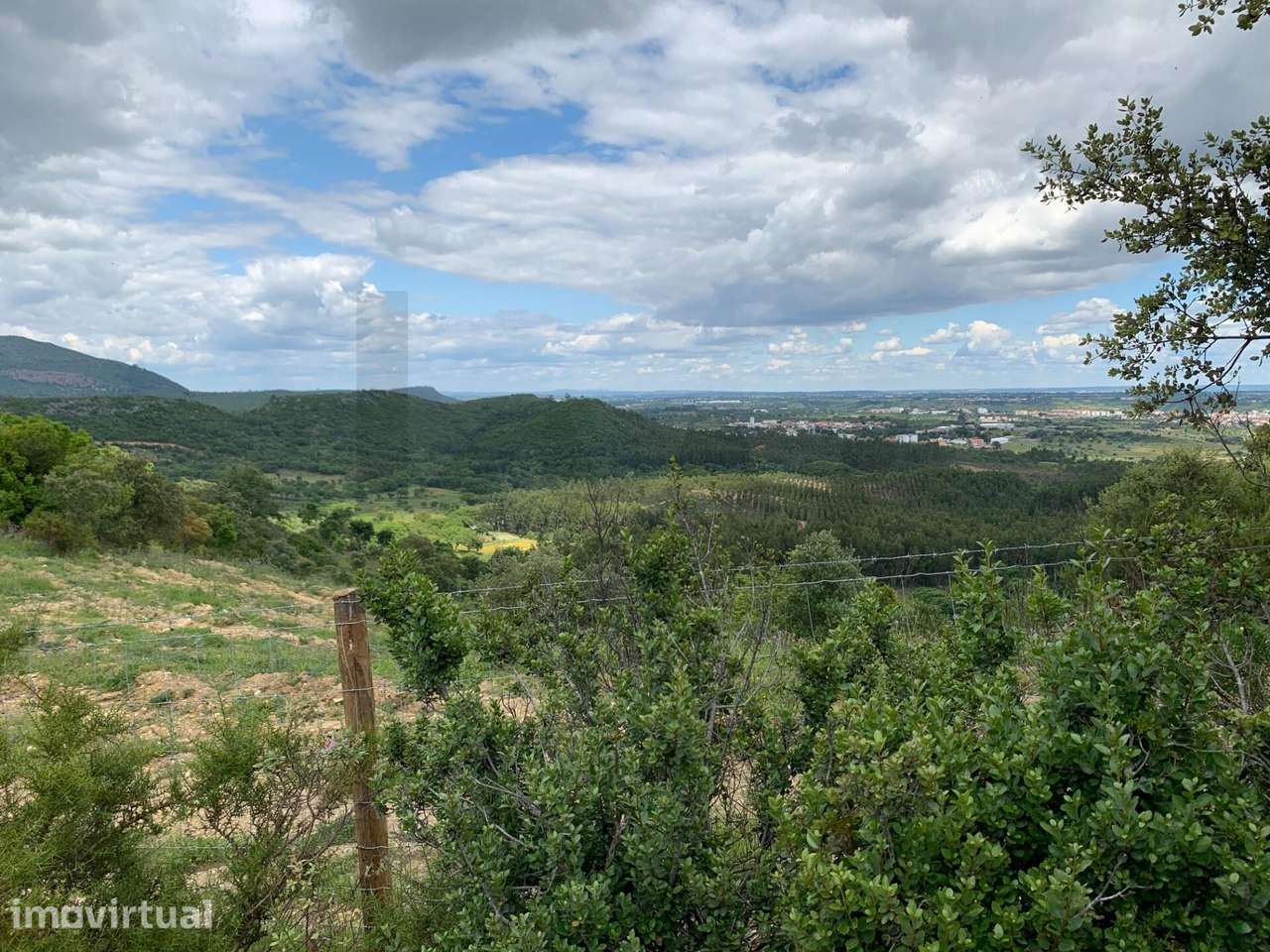 Terreno na Serra de Monsanto - Alcanena - Grande imagem: 3/22