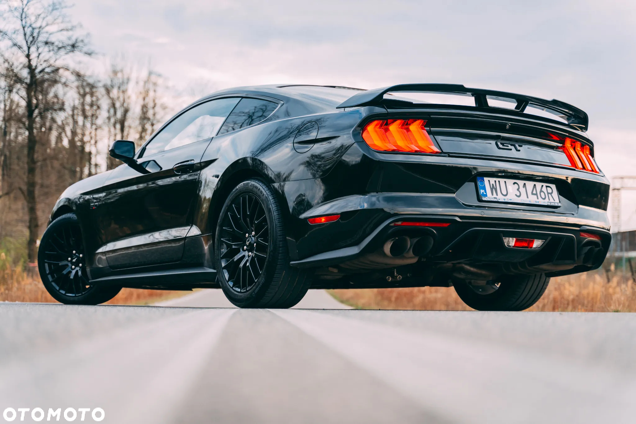 Ford Mustang 5.0 V8 GT - 8
