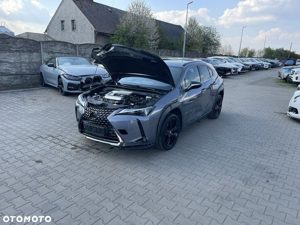 Lexus UX 250h GPF Business Edition 2WD - 3