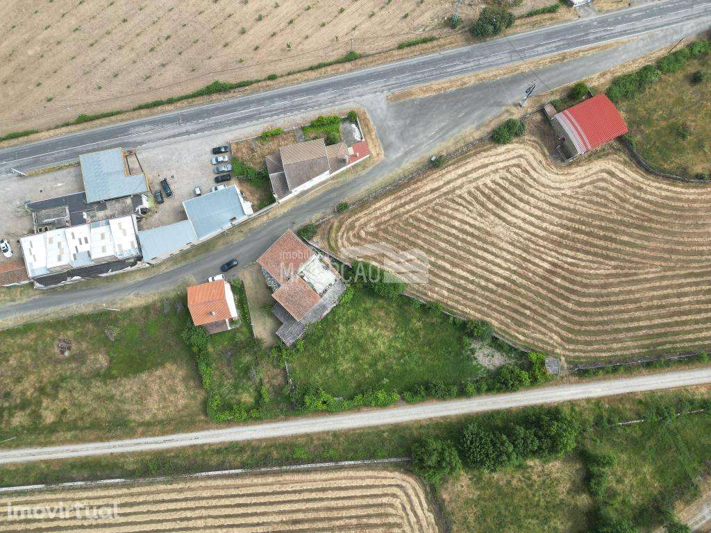 Moradia Duas Igrejas - Miranda do Douro - Grande imagem: 4/7