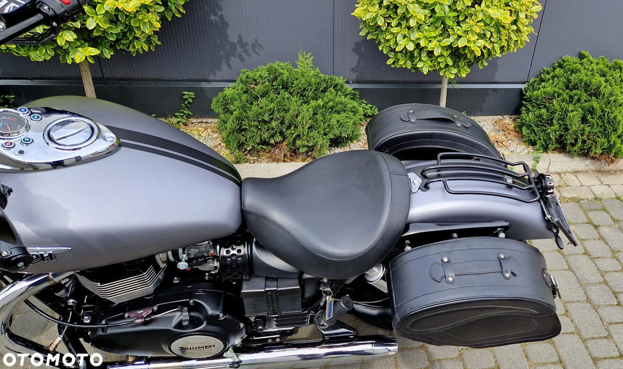 Triumph Speedmaster - 25