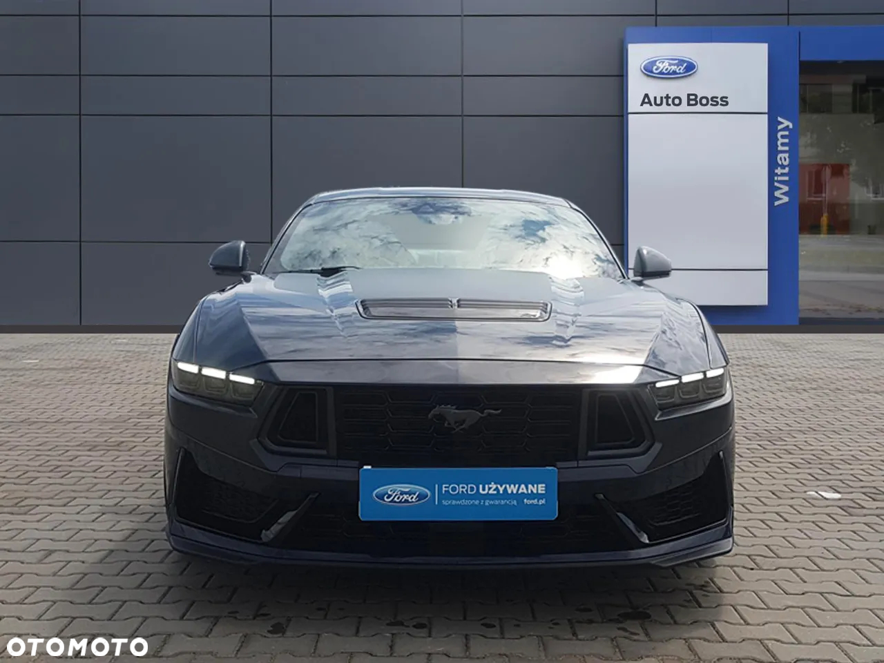 Ford Mustang 5.0 Ti-VCT V8 Dark Horse - 8