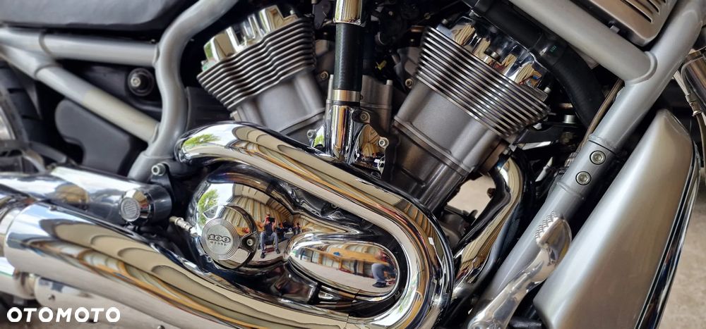 Harley-Davidson V-Rod Street Rod - 6