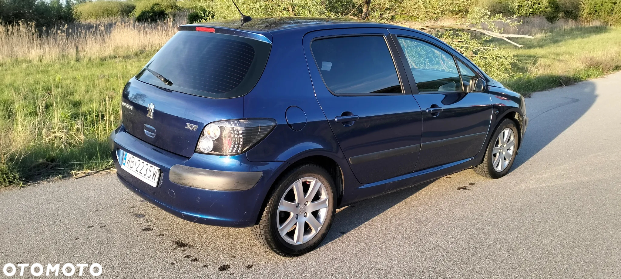 Peugeot 307 - 12