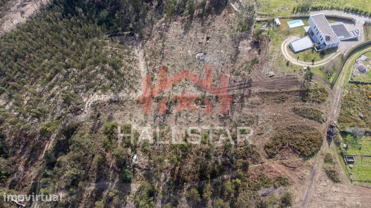 Terreno Florestal / Área Total 2.480m2 / Penafiel - Grande imagem: 5/8