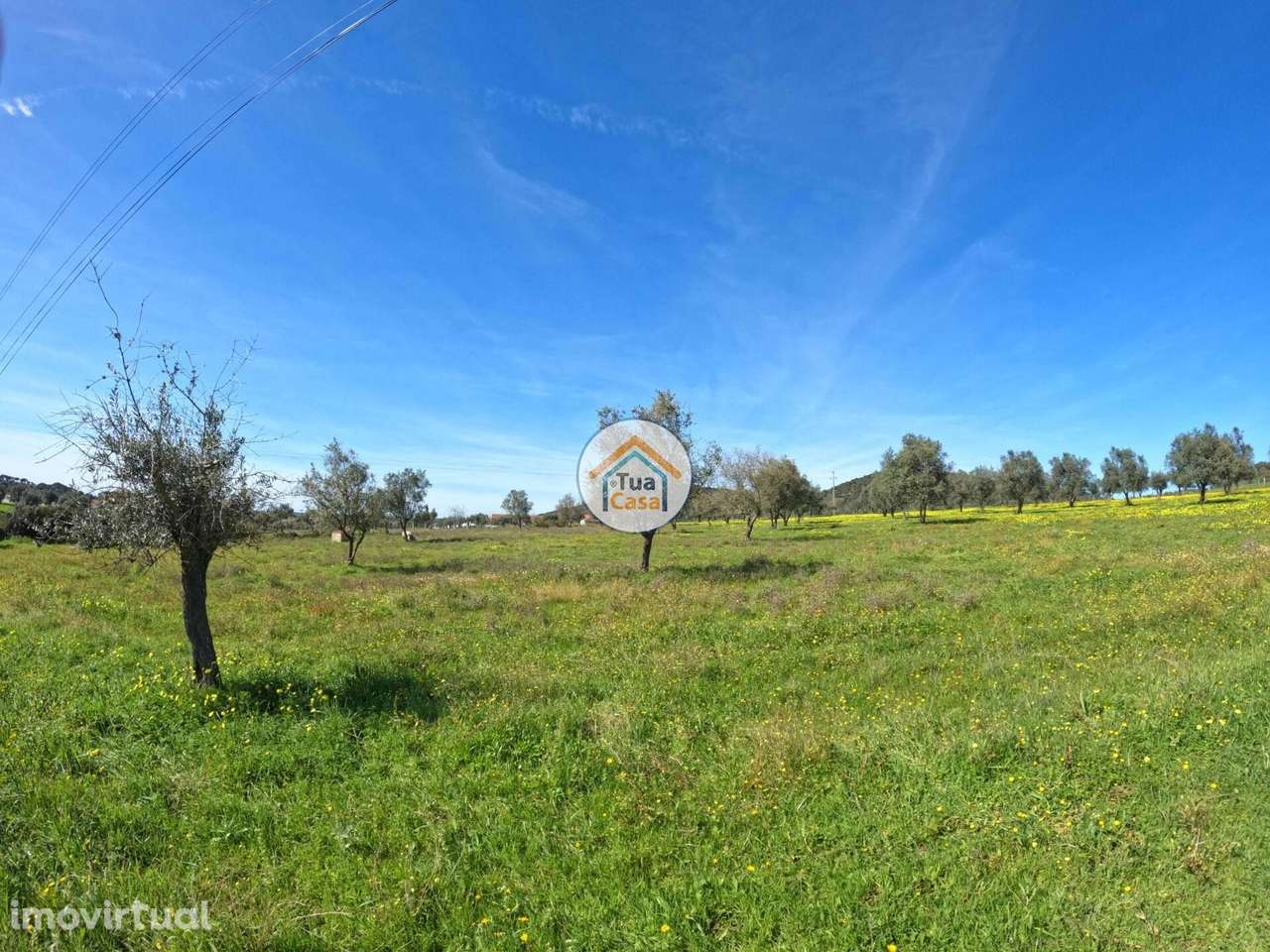 Terreno Urbanizável com 9.750 m2, sendo 3.525m2 Urbano em Santiago do - Grande imagem: 2/15