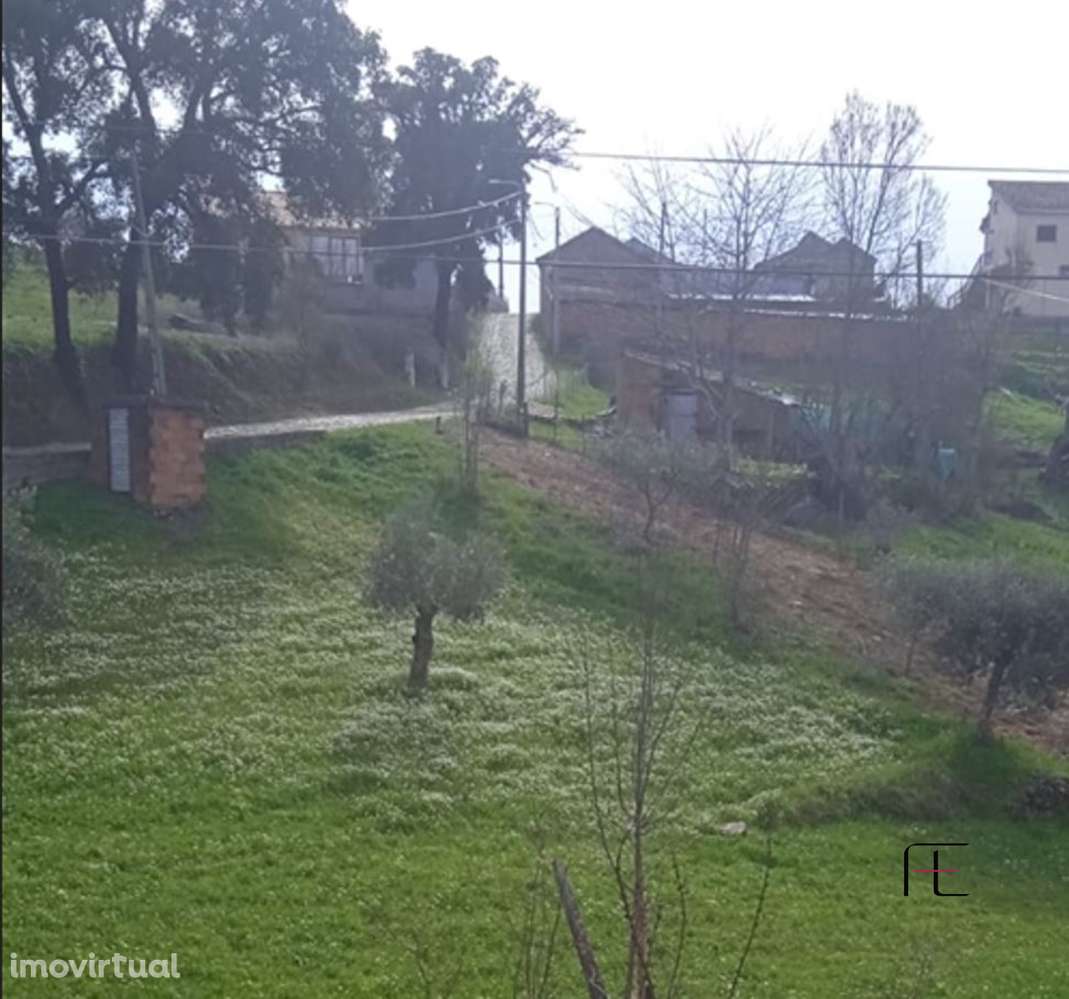 Moradia para Restaurar T4 Venda em Murça,Murça - Grande imagem: 3/11