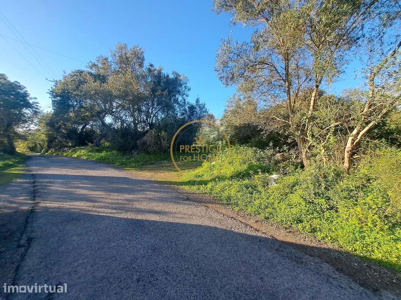 Terreno de 1.4ha com artigo urbano de 660m2 - São Brás de Alportel - Grande imagem: 4/24