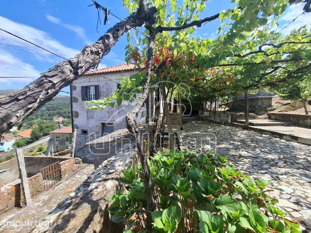 Moradia em pedra inserida num terreno com 3.646 m² em Azevedo - Grande imagem: 2/31