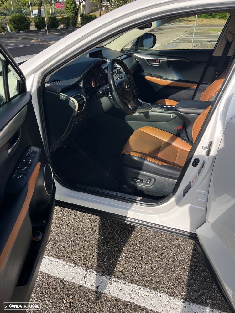 Lexus NX 300h Executive Plus - 13