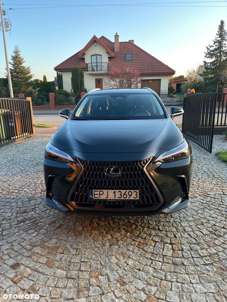 Lexus NX - 1