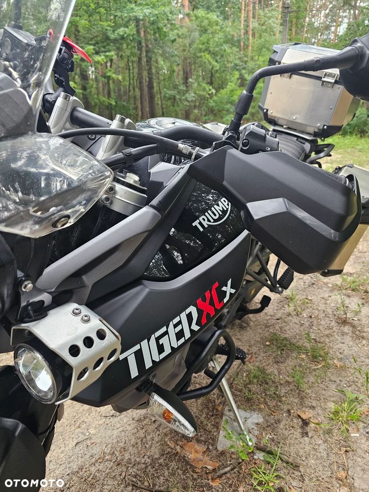 Triumph Tiger - 6