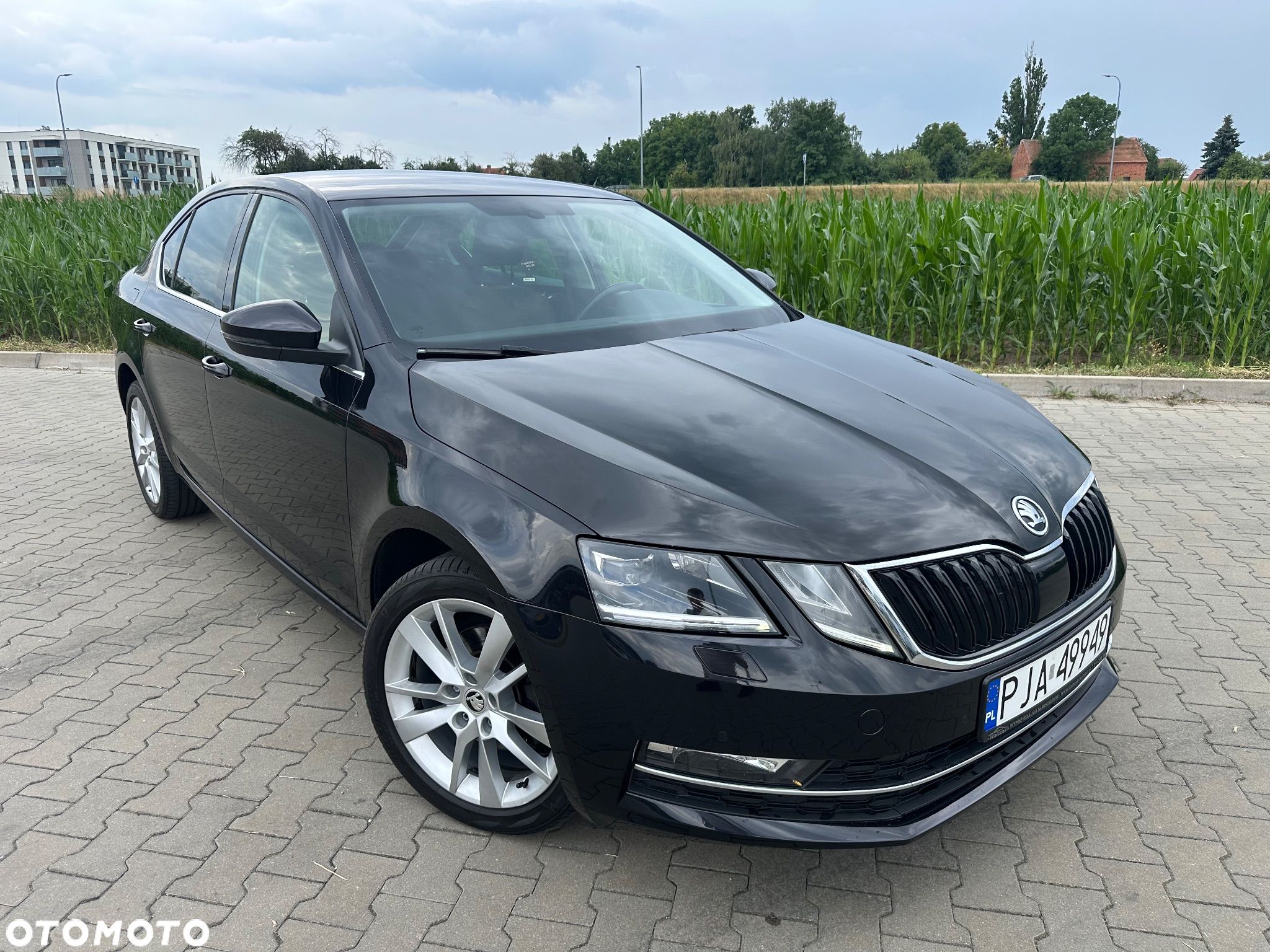 Skoda Octavia - 1