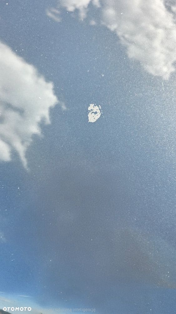 Renault Megane 1.9 dCi Privilege - 20