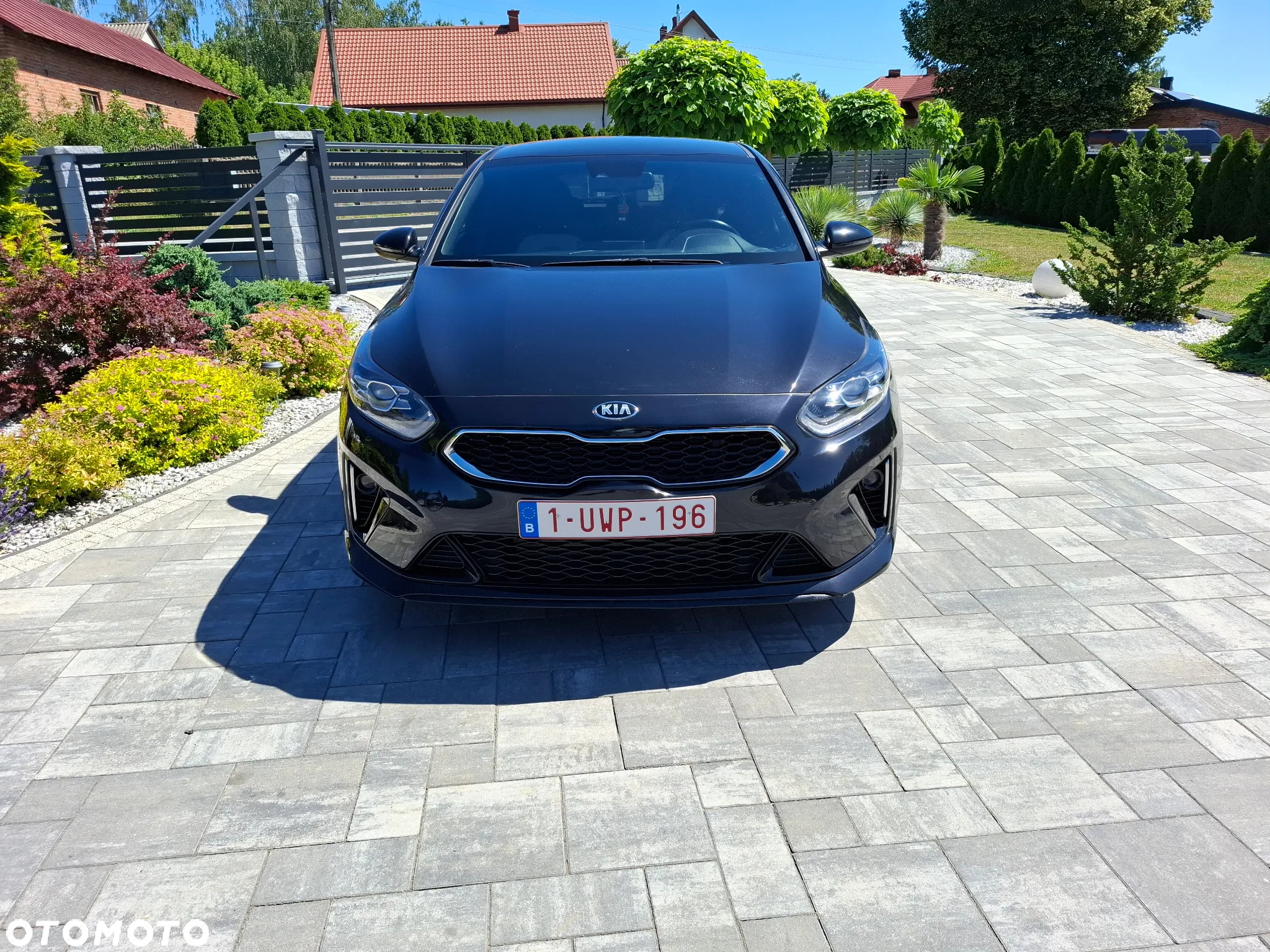 Kia ProCeed 1.5 T-GDI GT Line - 17