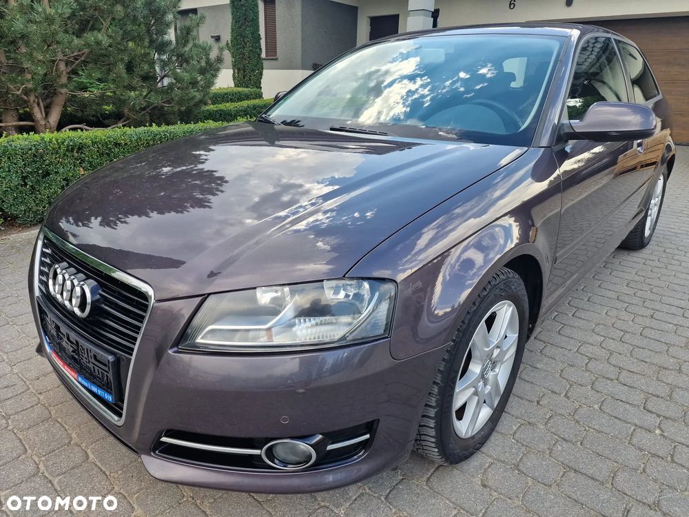 Audi A3 3-drzwiowe 1.6 TDI DPF Attraction - 13