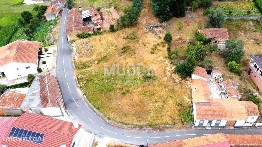 Terreno | 1290 m2 a 15 Minutos de Aveiro |Espaço e Liberdade - Grande imagem: 4/11