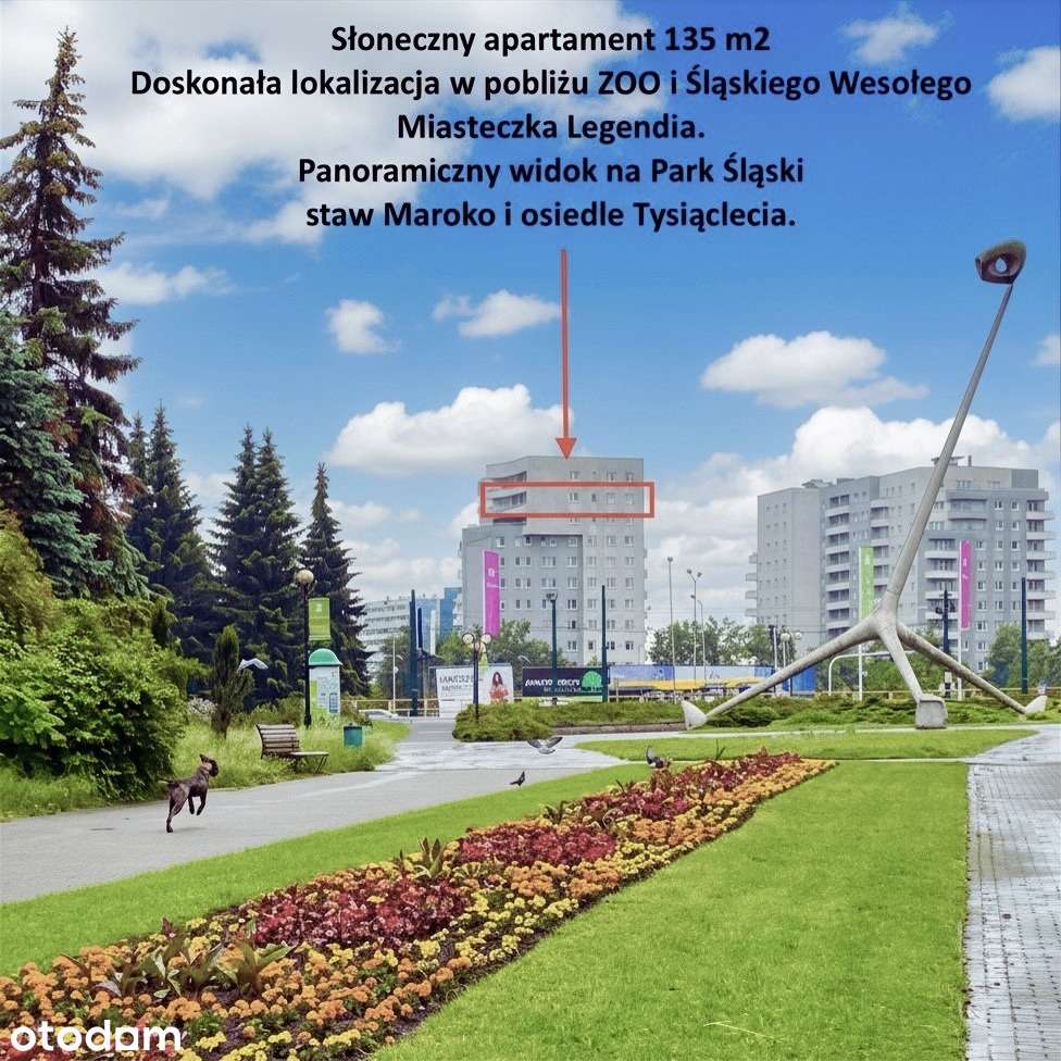 Duże, przestronne mieszkanie w doskonałej lokalizacji