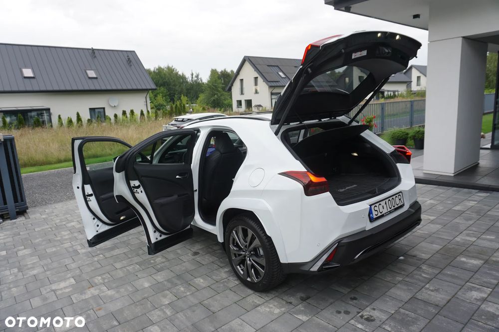 Lexus UX 250h GPF F Sport 2WD - 11