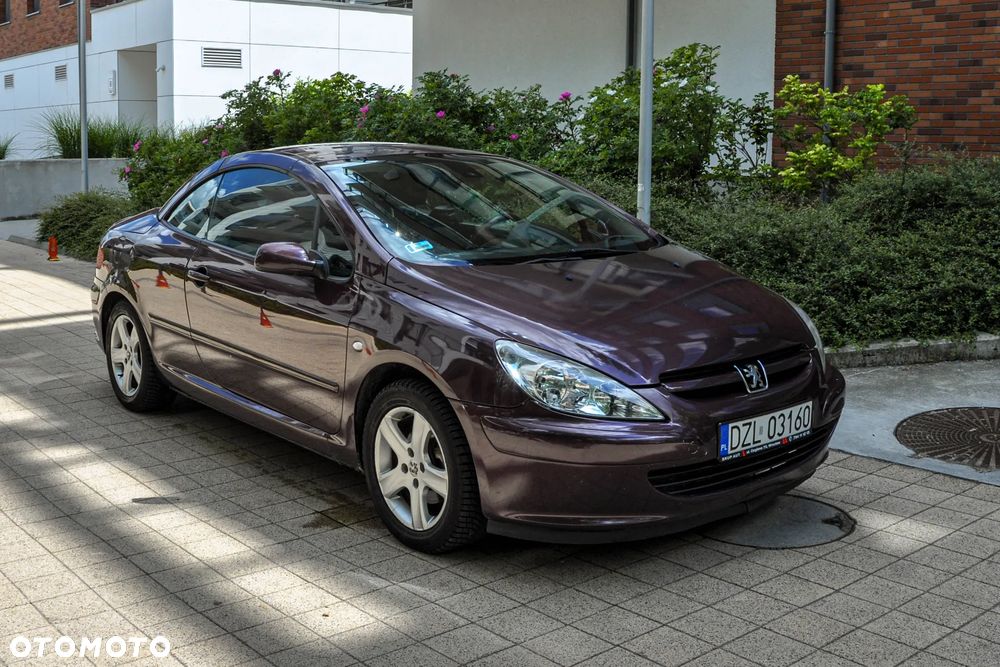 Peugeot 307 - 6